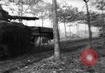 Image of Allies liberate Holland Holland Netherlands, 1944, second 58 stock footage video 65675056370