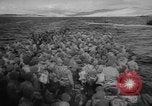 Immagine di Grecia liberata Atene GRECIA, 1944, secondo 30 filmato di repertorio 65675056373