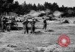 Immagine di Esercito Tedesco ritiri La Russia, 1944, secondo 27 filmato di repertorio 65675056376