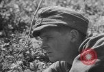 Immagine di Esercito Tedesco ritiri La Russia, 1944, secondo 1 filmato di repertorio 65675056377