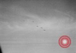 Immagine di Esercito Tedesco ritiri La Russia, 1944, secondo 34 filmato di repertorio 65675056377