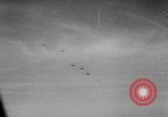 Immagine di Esercito Tedesco ritiri La Russia, 1944, secondo 35 filmato di repertorio 65675056377
