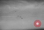 Immagine di Esercito Tedesco ritiri La Russia, 1944, secondo 36 filmato di repertorio 65675056377