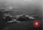 Immagine di Esercito Tedesco ritiri La Russia, 1944, secondo 53 filmato di repertorio 65675056377
