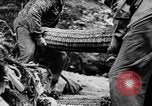 Immagine di Esercito Tedesco battaglie US Army in villaggi francesi Caen Francia, 1944, secondo 10 filmato di repertorio 65675056378