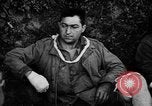 Image German Army Combat Normandie France, 1944, de la seconde 20 séquences d'archives historiques vidéo 65675056379