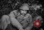 Image German Army Combat Normandie France, 1944, de la seconde 22 séquences d'archives historiques vidéo 65675056379