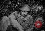 Image German Army Combat Normandie France, 1944, de la seconde 23 séquences d'archives historiques vidéo 65675056379