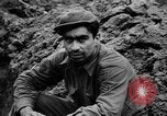 Image German Army Combat Normandie France, 1944, de la seconde 29 séquences d'archives historiques vidéo 65675056379