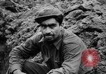 Image German Army Combat Normandie France, 1944, de la seconde 31 séquences d'archives historiques vidéo 65675056379