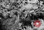 Image Les soldats allemands la mise en place d'un appareil photo Allemagne, 1944, de la seconde 1 séquences d'archives historiques vidéo 65675056380