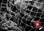 Image Les soldats allemands la mise en place d'un appareil photo Allemagne, 1944, de la seconde 6 séquences d'archives historiques vidéo 65675056380