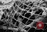 Image Les soldats allemands la mise en place d'un appareil photo Allemagne, 1944, de la seconde 9 séquences d'archives historiques vidéo 65675056380
