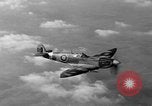 Standbild Spitfire Flugzeug Vereinigtes Königreich, 1944, aus Sekunde 34 historischem Filmmaterial Videoclip 65675056381