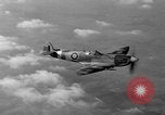 Standbild Spitfire Flugzeug Vereinigtes Königreich, 1944, aus Sekunde 35 historischem Filmmaterial Videoclip 65675056381