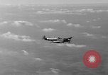 Standbild Spitfire Flugzeug Vereinigtes Königreich, 1944, aus Sekunde 55 historischem Filmmaterial Videoclip 65675056381