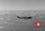 Standbild Spitfire Flugzeug Vereinigtes Königreich, 1944, aus Sekunde 58 historischem Filmmaterial Videoclip 65675056381