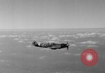 Standbild Spitfire Flugzeug Vereinigtes Königreich, 1944, aus Sekunde 59 historischem Filmmaterial Videoclip 65675056381