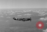 Standbild Spitfire Flugzeug Vereinigtes Königreich, 1944, aus Sekunde 61 historischem Filmmaterial Videoclip 65675056381