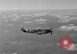Standbild Spitfire Flugzeug Vereinigtes Königreich, 1944, aus Sekunde 62 historischem Filmmaterial Videoclip 65675056381
