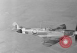Immagine di British Spitfire piano Regno Unito, 1944, secondo 5 filmato di repertorio 65675056384