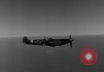 Immagine di British Spitfire piano Regno Unito, 1944, secondo 20 filmato di repertorio 65675056385