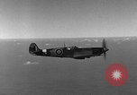 Immagine di British Spitfire piano Regno Unito, 1944, secondo 36 filmato di repertorio 65675056385