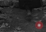 Image of Italian citizens in ruined village Italy, 1944, second 23 stock footage video 65675056390