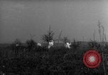 Image des soldats alliés dans les bois Gudershoffer France, 1945, de la seconde 30 séquences d'archives historiques vidéo 65675056396