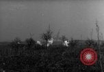 Image des soldats alliés dans les bois Gudershoffer France, 1945, de la seconde 33 séquences d'archives historiques vidéo 65675056396