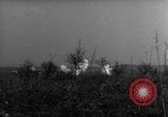 Image des soldats alliés dans les bois Gudershoffer France, 1945, de la seconde 37 séquences d'archives historiques vidéo 65675056396
