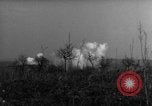 Image des soldats alliés dans les bois Gudershoffer France, 1945, de la seconde 49 séquences d'archives historiques vidéo 65675056396