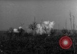 Image des soldats alliés dans les bois Gudershoffer France, 1945, de la seconde 51 séquences d'archives historiques vidéo 65675056396