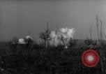 Image des soldats alliés dans les bois Gudershoffer France, 1945, de la seconde 54 séquences d'archives historiques vidéo 65675056396