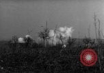 Image des soldats alliés dans les bois Gudershoffer France, 1945, de la seconde 55 séquences d'archives historiques vidéo 65675056396