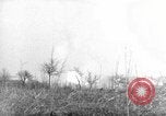 Image des soldats alliés dans les bois Gudershoffer France, 1945, de la seconde 57 séquences d'archives historiques vidéo 65675056396
