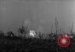 Image des soldats alliés dans les bois Gudershoffer France, 1945, de la seconde 60 séquences d'archives historiques vidéo 65675056396