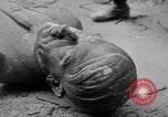 Image of Bronze bust of Adolf Hitler Cologne Germany, 1945, second 37 stock footage video 65675056411