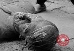 Image of Bronze bust of Adolf Hitler Cologne Germany, 1945, second 43 stock footage video 65675056411