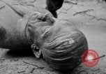 Image of Bronze bust of Adolf Hitler Cologne Germany, 1945, second 44 stock footage video 65675056411