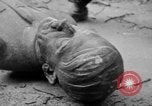 Image of Bronze bust of Adolf Hitler Cologne Germany, 1945, second 46 stock footage video 65675056411