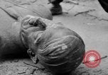 Image of Bronze bust of Adolf Hitler Cologne Germany, 1945, second 47 stock footage video 65675056411