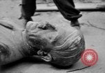 Image of Bronze bust of Adolf Hitler Cologne Germany, 1945, second 53 stock footage video 65675056411
