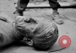 Image of Bronze bust of Adolf Hitler Cologne Germany, 1945, second 60 stock footage video 65675056411