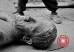 Image of Bronze bust of Adolf Hitler Cologne Germany, 1945, second 61 stock footage video 65675056411
