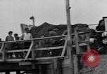 Immagine di Leslie generale J McNair bridge Colonia Germania, 1945, secondo 46 filmato di repertorio 65675056420