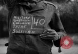 Image of Nazi symbols burnt Cologne Germany, 1945, second 1 stock footage video 65675056426