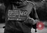 Image of Nazi symbols burnt Cologne Germany, 1945, second 3 stock footage video 65675056426