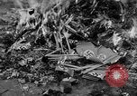 Image of Nazi symbols burnt Cologne Germany, 1945, second 4 stock footage video 65675056426