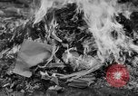 Image of Nazi symbols burnt Cologne Germany, 1945, second 9 stock footage video 65675056426
